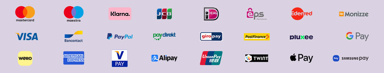 Logos des moyens de paiement acceptés avec Payworld, comme Mastercard, Visa, PayPal, Bancontact, Klarna, Google Pay, Apple Pay et d'autres.